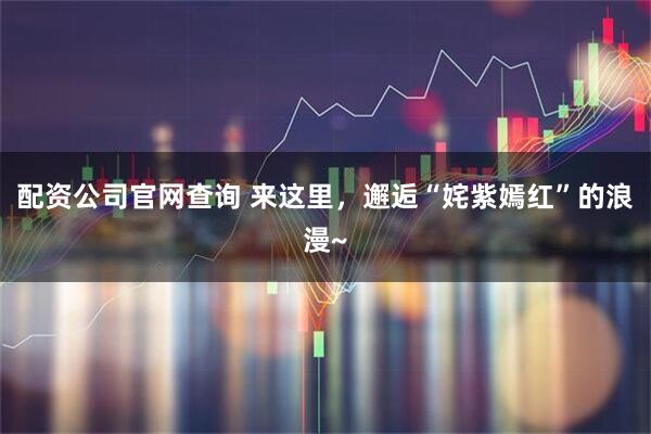 配资公司官网查询 来这里，邂逅“姹紫嫣红”的浪漫~